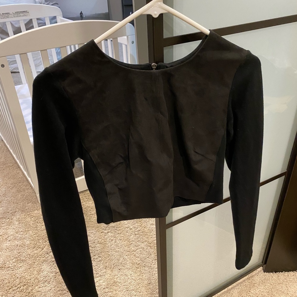 Club Monaco Suede Crop Top